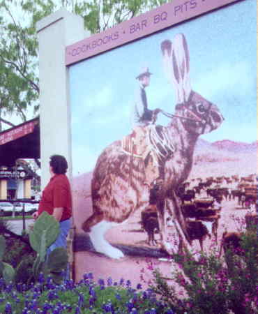 Matt looking for the Jackalope