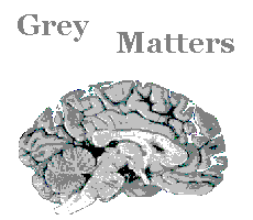 Grey Matters by Jason M. Bourgeois